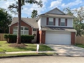 14202 Misty Knoll Ct in Houston, TX - Building Photo