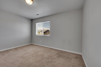 4033 Silver Star Grove in Colorado Springs, CO - Building Photo - Building Photo