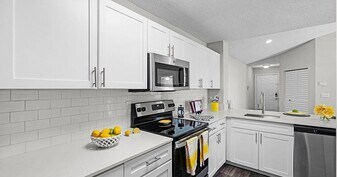 Sabal Palm at Lake Buena Vista