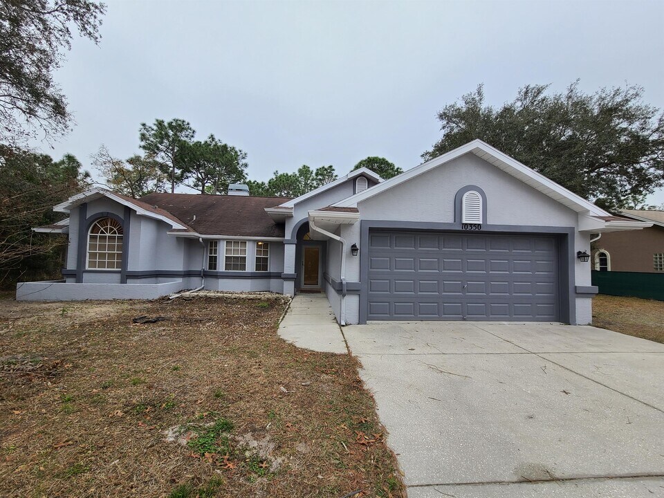10350 Calico Warbler Ave in Spring Hill, FL - Building Photo