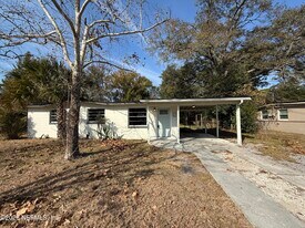 1033 Ake Ln in Jacksonville, FL - Building Photo