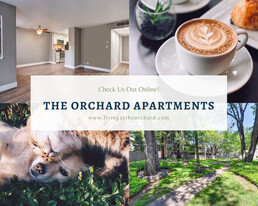 The Orchard Apartments