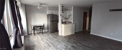 12520 Edgewater Dr in Lakewood, OH - Foto de edificio - Building Photo