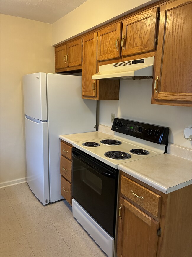 1009 Merrick Dr in Richmond, KY - Building Photo - Building Photo