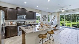6559 Calypso Coral Ln in Sarasota, FL - Building Photo