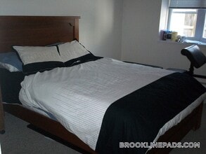 110 Babcock St in Brookline, MA - Building Photo - Building Photo