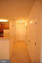 3810 Lightfoot St in Chantilly, VA - Building Photo - Building Photo