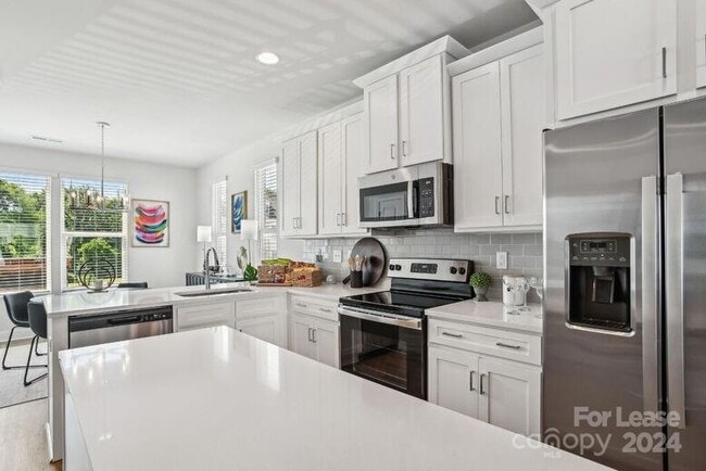 204 MONARCH Crk Ln in Charlotte, NC - Building Photo - Building Photo