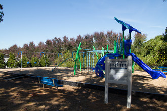 Oakwood Forest in Greensboro, NC - Building Photo - Building Photo