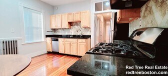 14 Dalrymple St, Unit 3 in Boston, MA - Building Photo