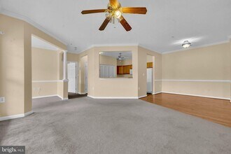 2495 Amber Orchard Ct in Odenton, MD - Building Photo - Building Photo