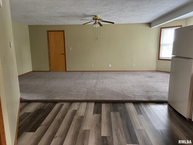407 Carroll St in Pawnee, IL - Building Photo - Building Photo