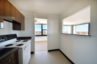 South Shore Beach Apartments in Chicago, IL - Building Photo