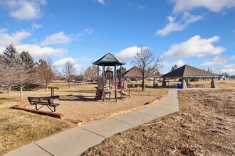 309 Buffalo Dr in Windsor, CO - Building Photo - Building Photo