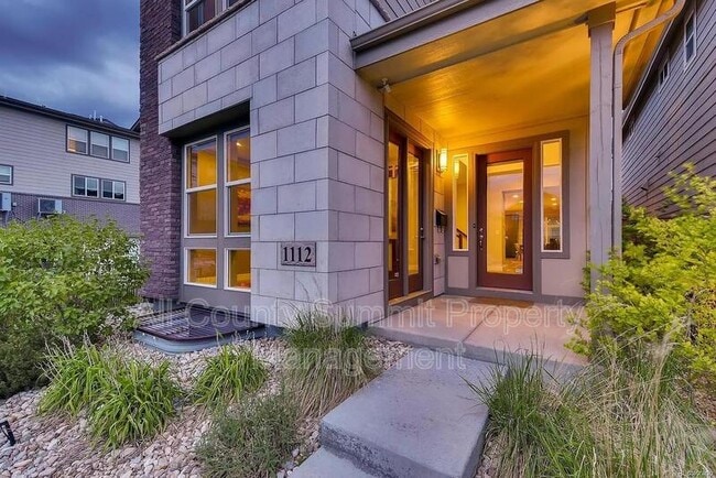 1112 S Grant St in Denver, CO - Building Photo - Building Photo