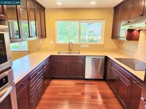 171 Via Bonita in Alamo, CA - Building Photo - Building Photo