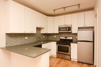 2839 W Palmer in Chicago, IL - Foto de edificio - Building Photo