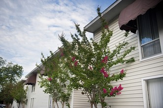 Castlewood Apartments in Valdosta, GA - Building Photo - Building Photo