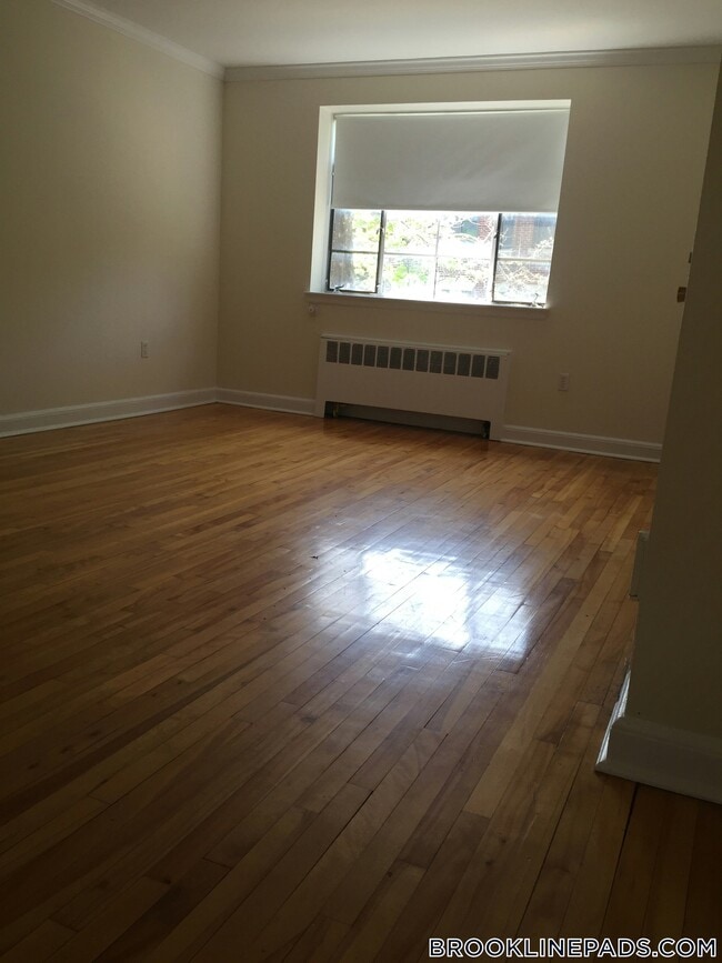 50 Alton Pl, Unit 4 in Brookline, MA - Foto de edificio - Building Photo