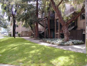 Arastravero Park Apartments in Palo Alto, CA - Building Photo - Building Photo