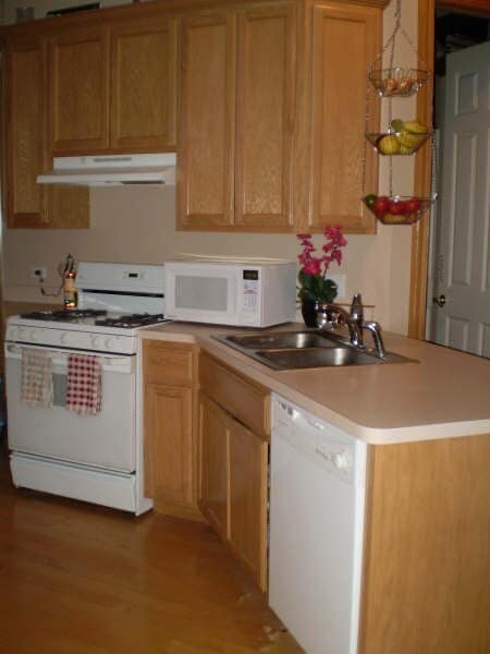 209 Stephen St, Unit B in Lemont, IL - Building Photo - Building Photo