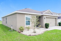 30554 Satinleaf Run in Brooksville, FL - Foto de edificio - Building Photo