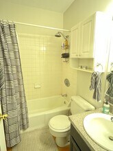 529 Columbus Ave in Boston, MA - Building Photo - Building Photo