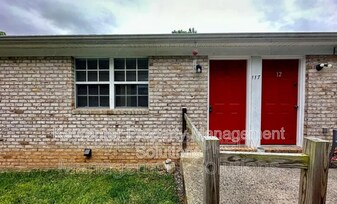 117 Olive St in Staunton, VA - Building Photo