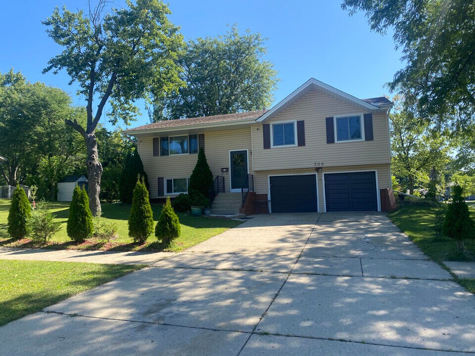 709 S Salem Dr in Schaumburg, IL - Building Photo