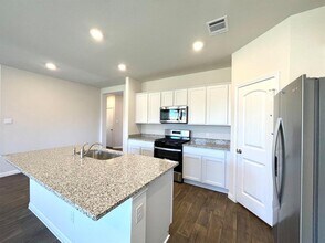 159 Alamo Vine Ct in Kyle, TX - Building Photo - Building Photo