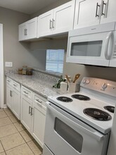 507 Holly Ln in Brandon, FL - Building Photo - Building Photo
