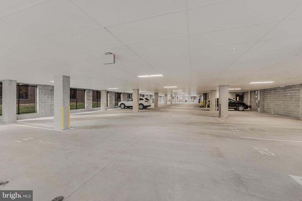 21731 Dovekie Ter in Ashburn, VA - Foto de edificio