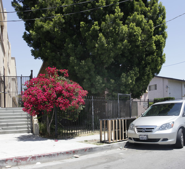 6058 Hazelhurst Pl in North Hollywood, CA - Building Photo - Building Photo