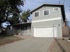 4263 Croce Ct in Pleasanton, CA - Building Photo