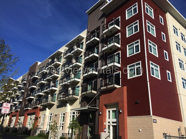 The Maple Street Apartments in Bellingham, WA - Building Photo - Building Photo