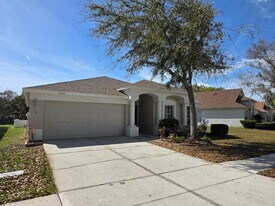 13020 Early Run Ln in Riverview, FL - Building Photo