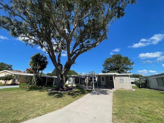 property at 909 Orchid St