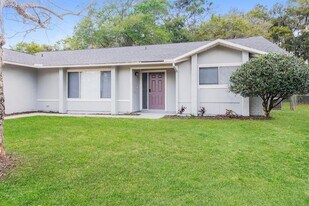 8000 Krista Lynn Ct in Orlando, FL - Building Photo