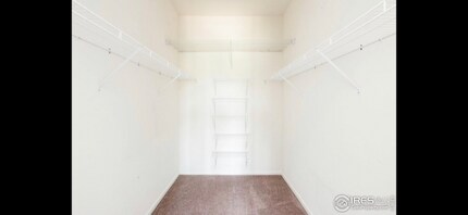1465 Blue Sky Cir in Erie, CO - Building Photo - Building Photo