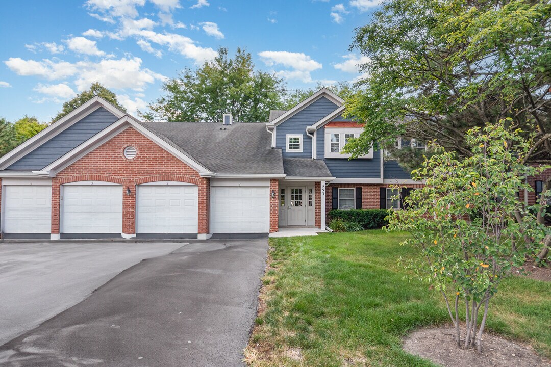 353 Pembroke Ct in Schaumburg, IL - Building Photo