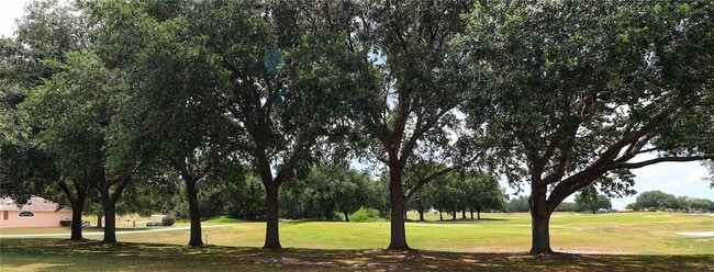 21300 Royal St Georges Ln in Leesburg, FL - Building Photo - Building Photo