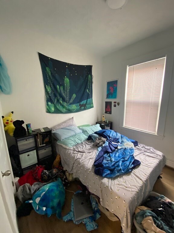 264 Windsor St, Unit 2 in Cambridge, MA - Building Photo - Building Photo