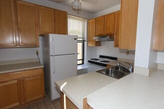 1223 N Dearborn in Chicago, IL - Building Photo - Building Photo