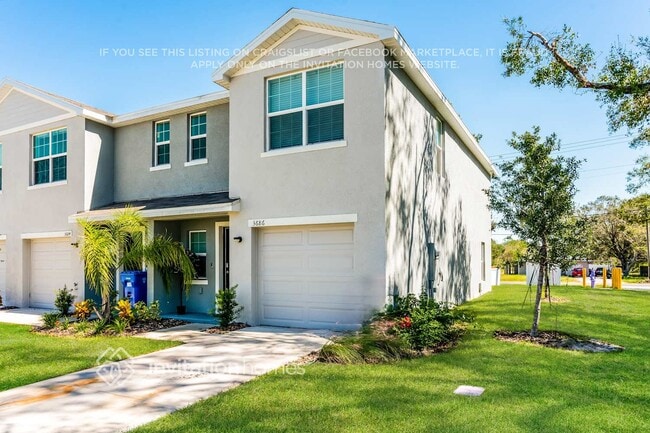 3686 Brownsville Pl in Tampa, FL - Building Photo - Building Photo