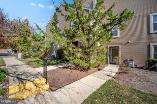 1615 Society Pl in Newtown, PA - Building Photo