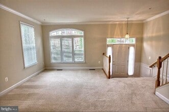 903 Crestfield Dr in Rockville, MD - Building Photo - Building Photo