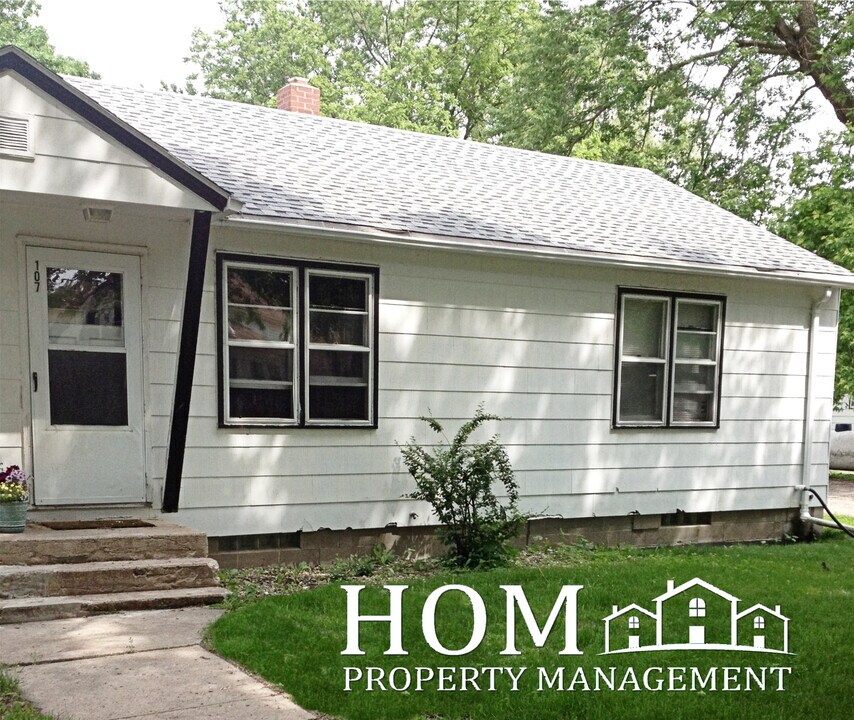 107 4th Ave SE in Mapleton, MN - Building Photo