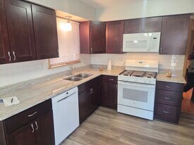 5850 N Mulligan Ave, Unit 1 in Chicago, IL - Building Photo