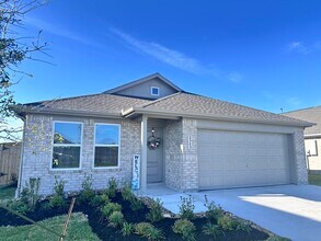 2313 Graycliff Estate Ln in League City, TX - Building Photo - Building Photo