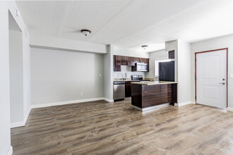 Pearl Cove Apartments in Clearwater, FL - Building Photo - Interior Photo